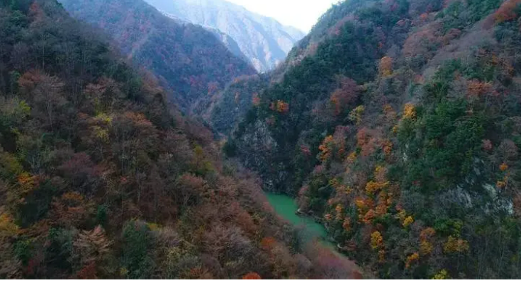 这条秦岭秋日自驾线路，堪称国民级美景！西安人凑时间也该走一次