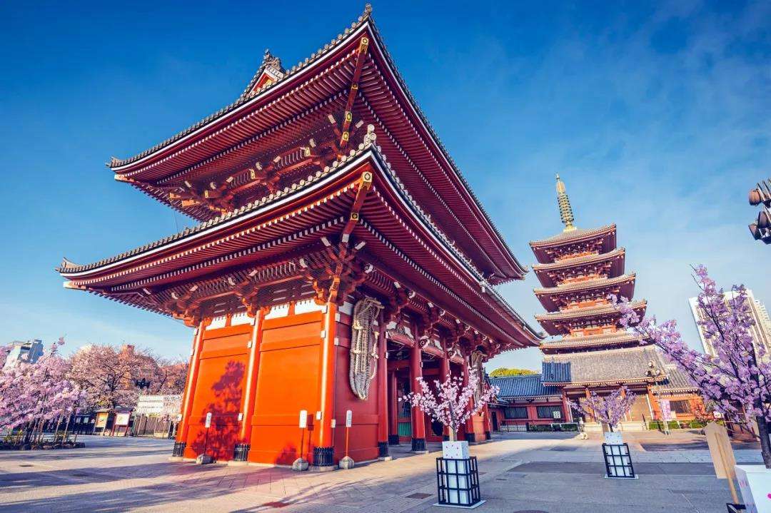 私人定制旅游：日本超小众的滑雪天堂！