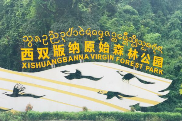 7S6vbWa0f19vf2Au7Tk4iPO2PMU6mKtn